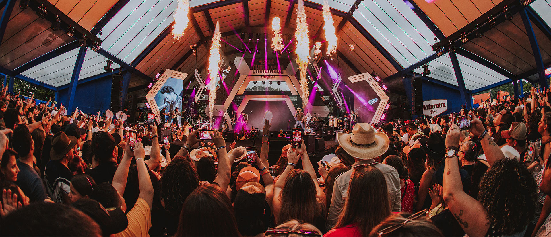 Imagem do público em show de música olhando o palco