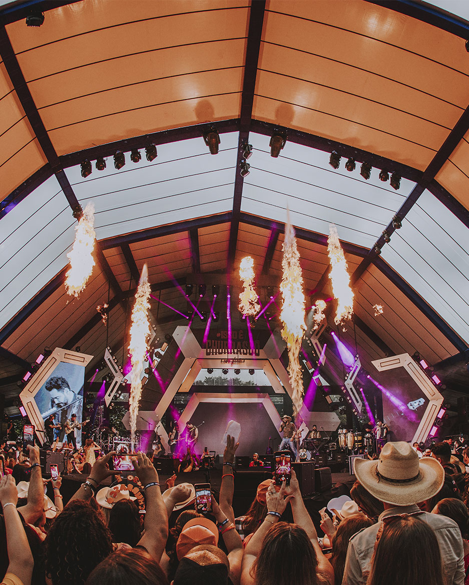 Imagem do público em show de música olhando o palco